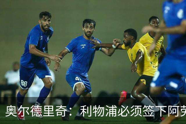 奥尔德里奇：利物浦必须签下阿劳霍
