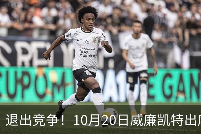 退出竞争！10月20日威廉凯特出席公务，哈里梅根的在职说不攻自破